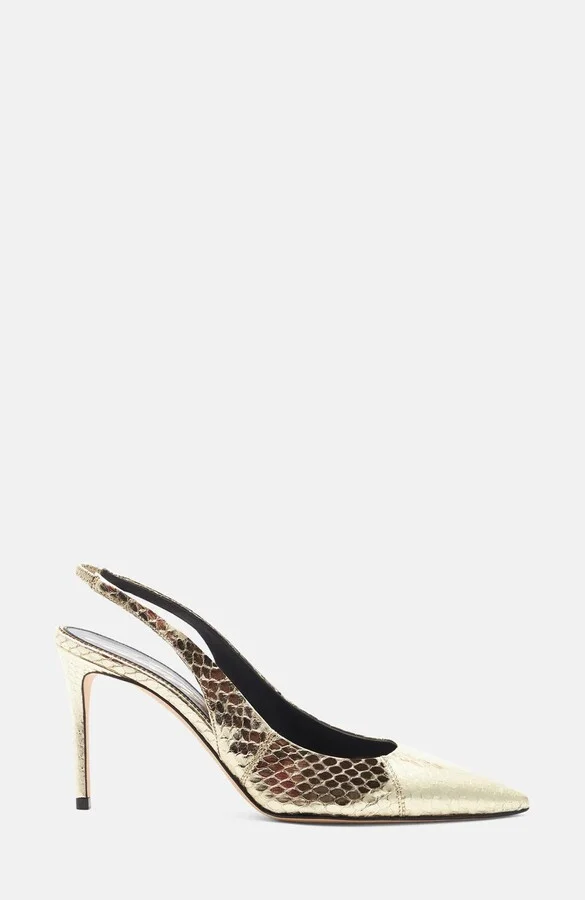 Gold - Elaphe