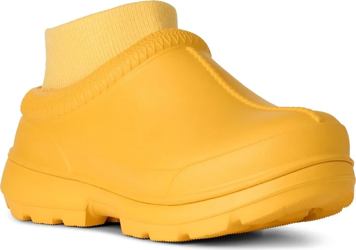 Summer Wheat