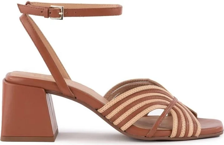Tender Heels In Multi
