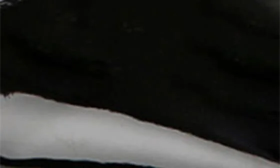 Tesoro Flat - Image 7