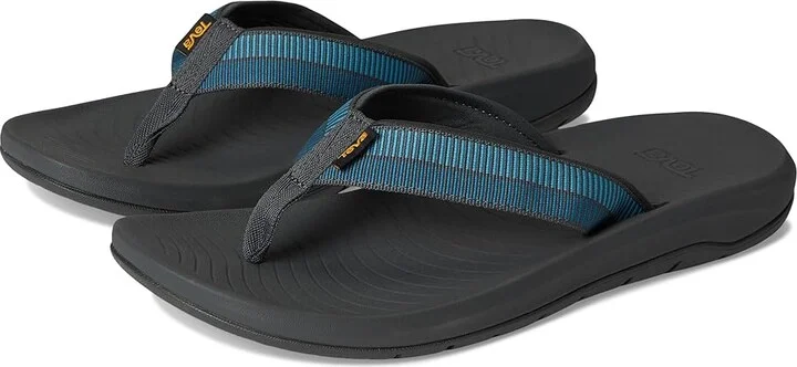 Archive Ladder Blue Coral