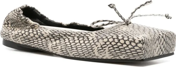 The Ballet flats - Image 2