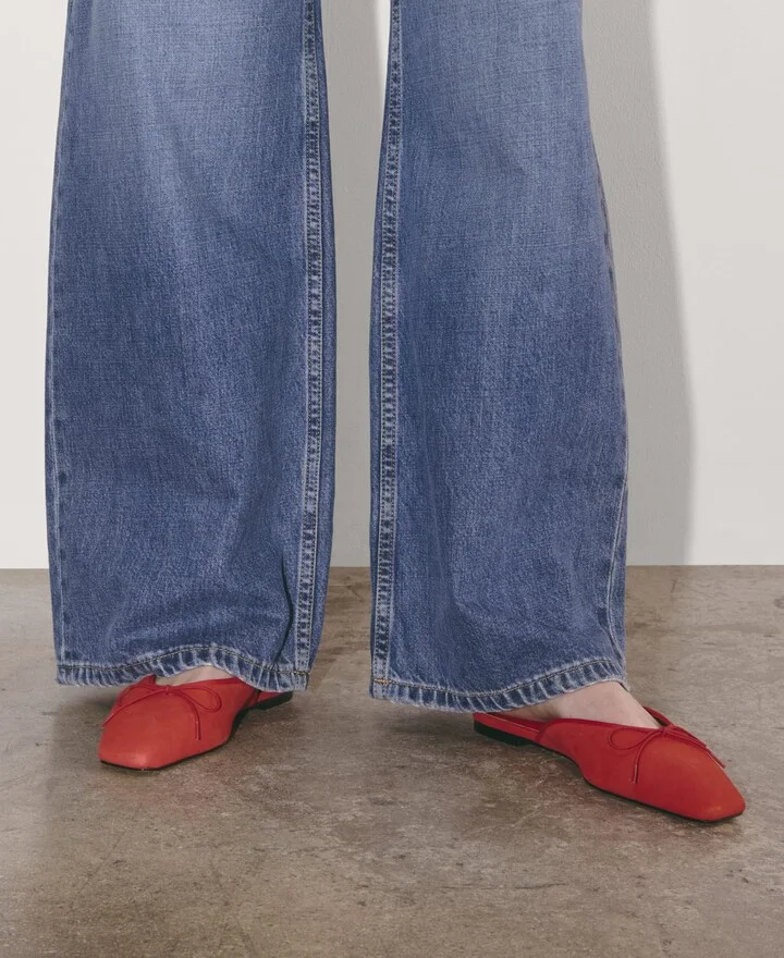 The Ballet Mule - Image 2
