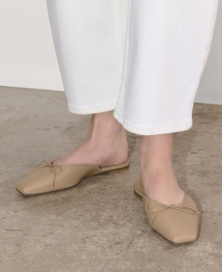 The Ballet Mule - Image 2