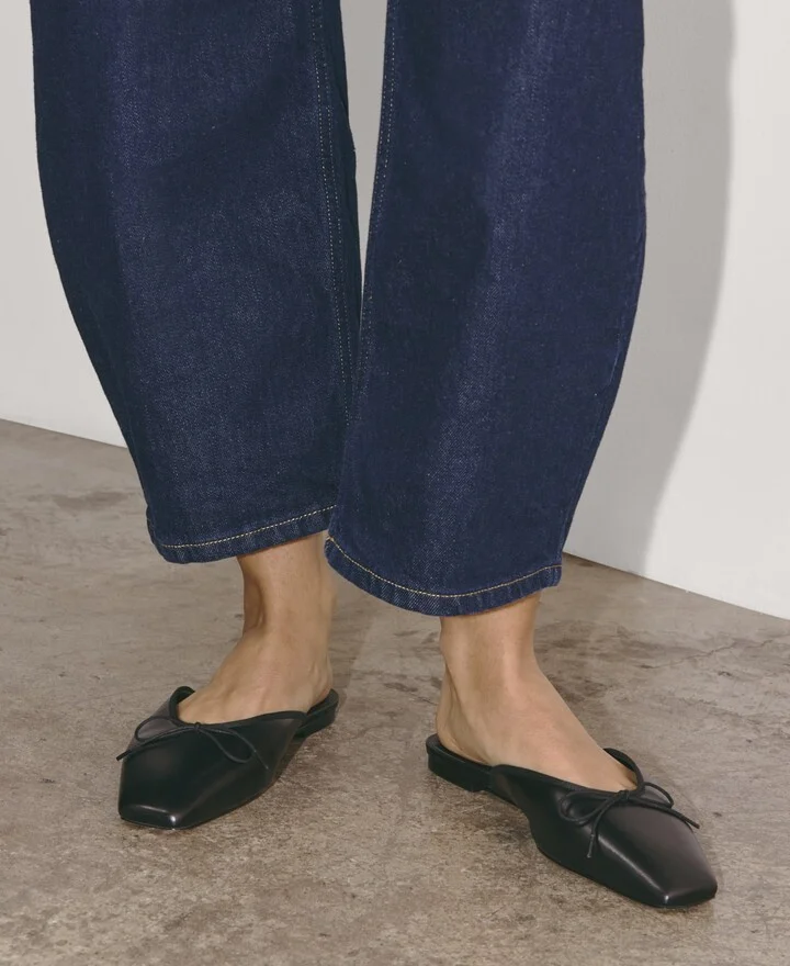 The Ballet Mule - Image 2