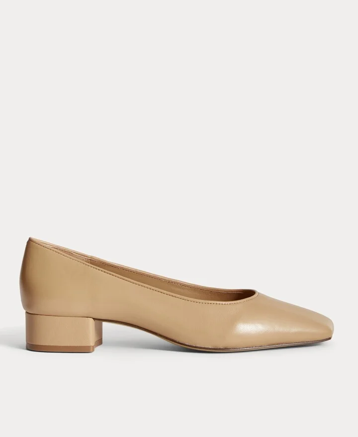 The Ballet Pump