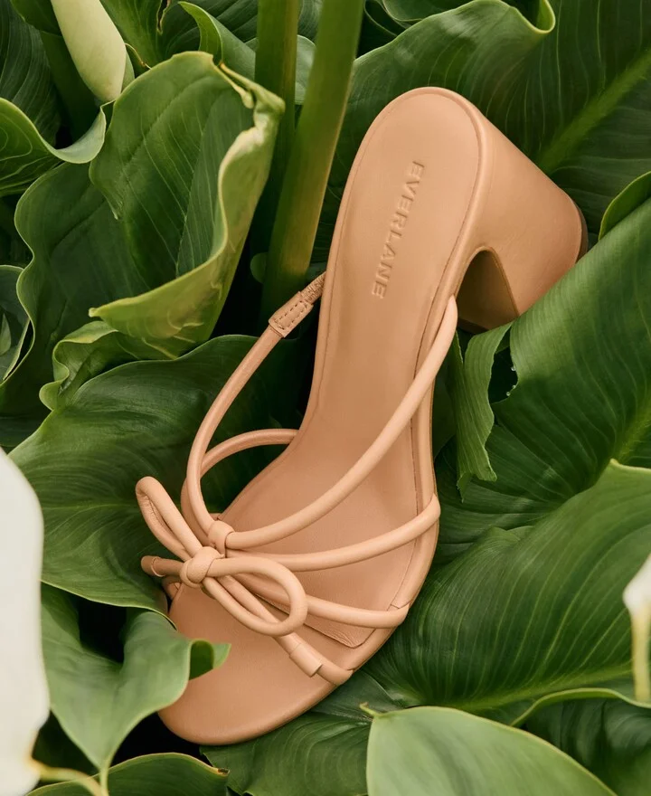 The Bow Heel - Image 2