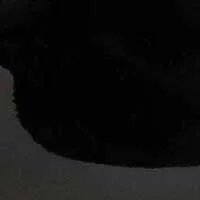 The Enrica - Image 7