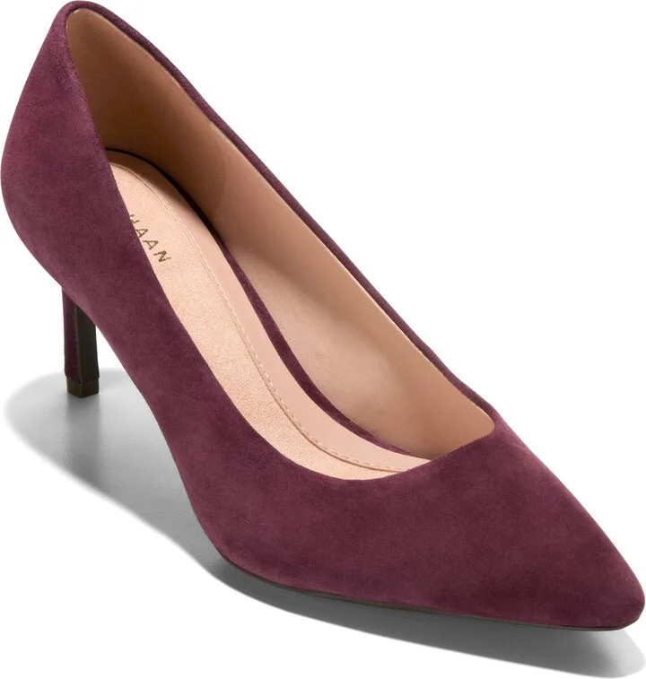 The Go-To Janey Pointed Toe Pump