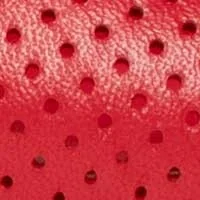 The Lisinda Lattice - Image 6