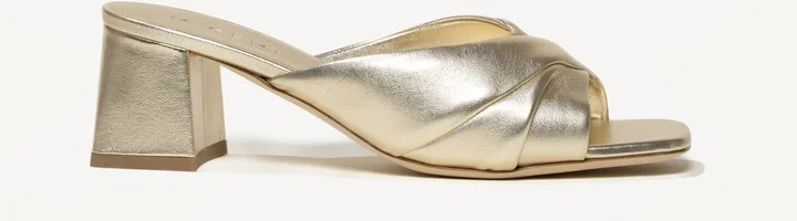 The Maia