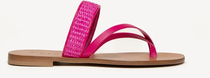 Fuchsia