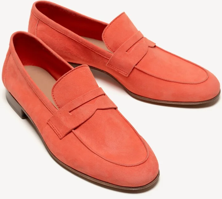 The Sacca Donna - Image 3