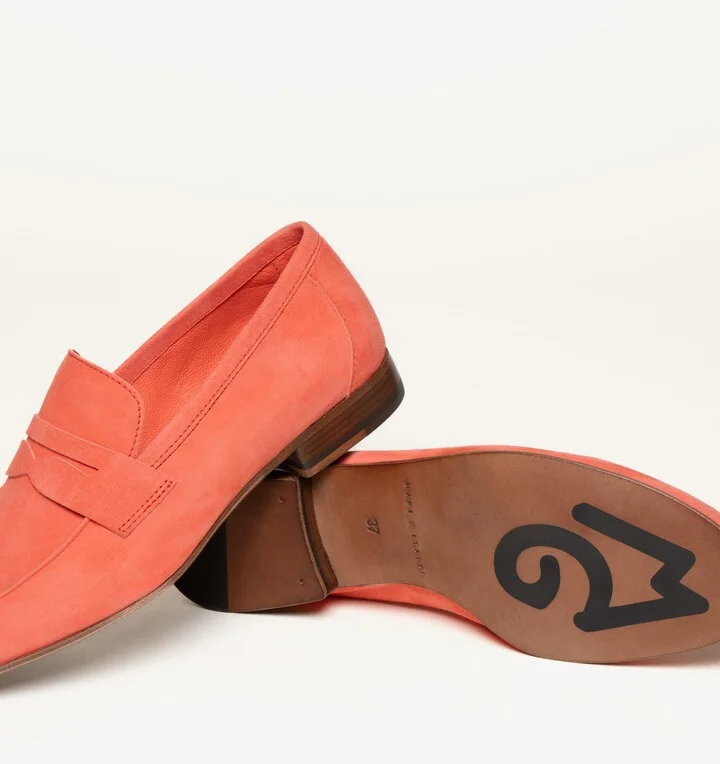 The Sacca Donna - Image 4