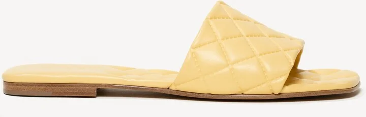 The Vanessa
