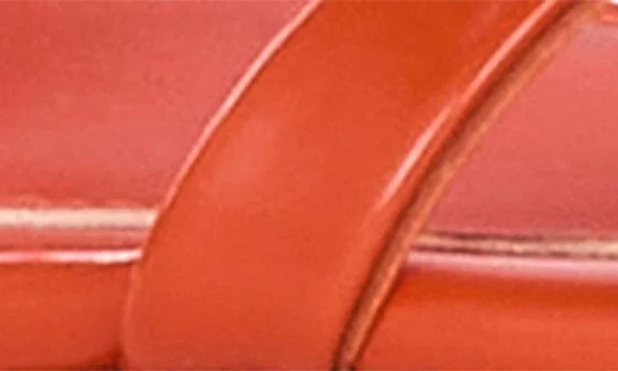 The Wanderering Ankle Strap Sandal - Image 7