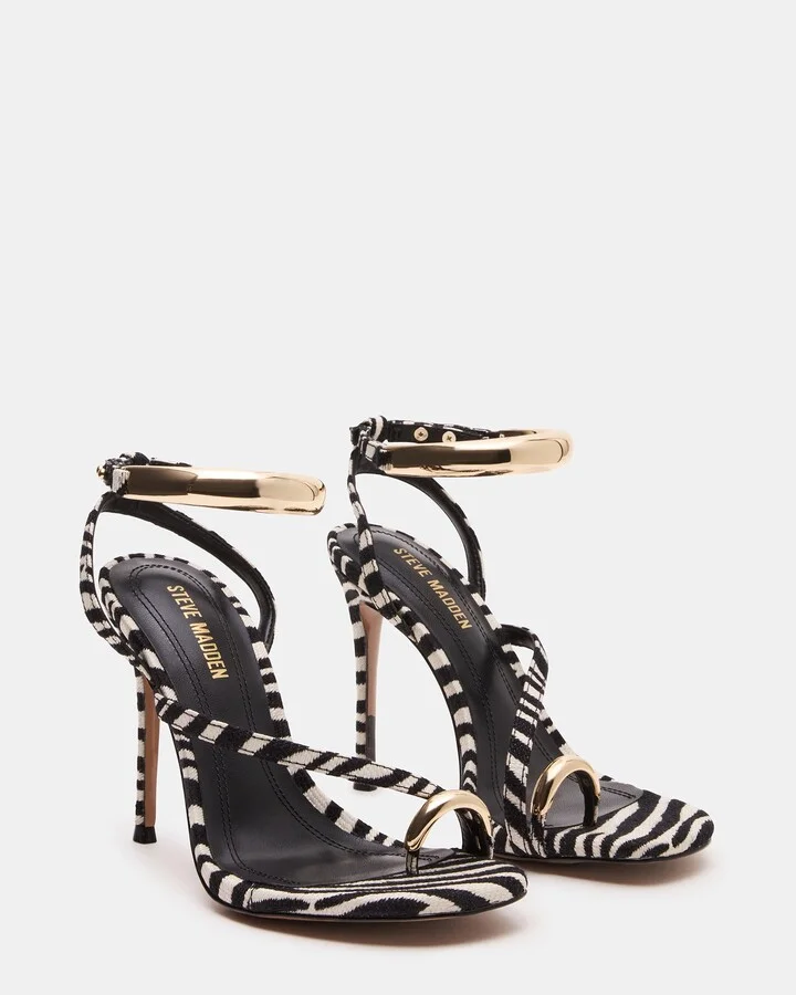 Tia Zebra - Image 3