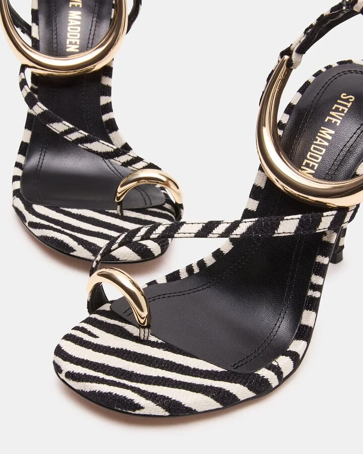 Tia Zebra - Image 4