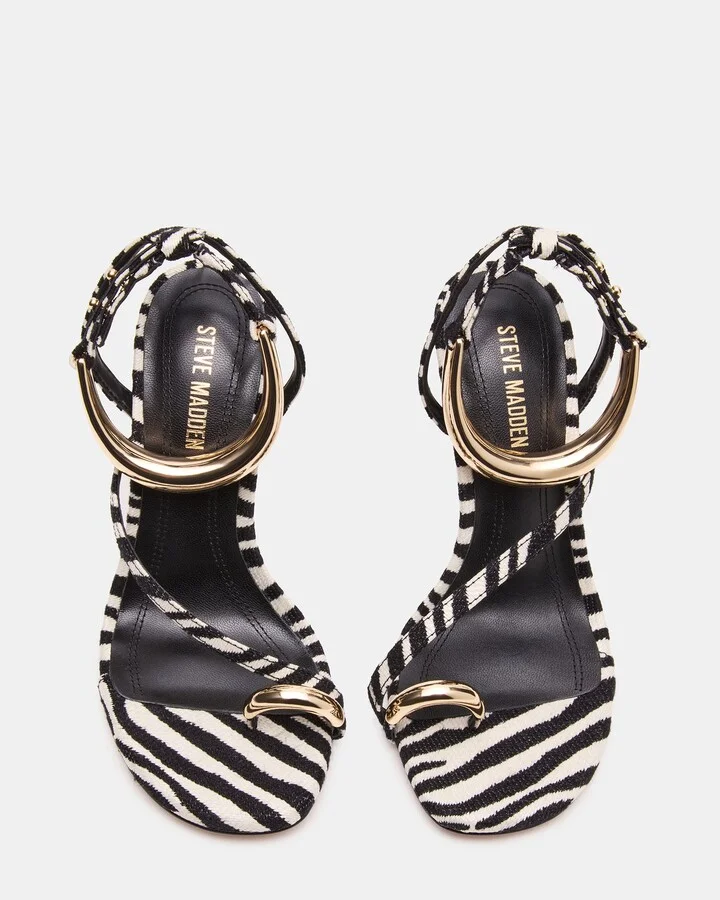 Tia Zebra - Image 5
