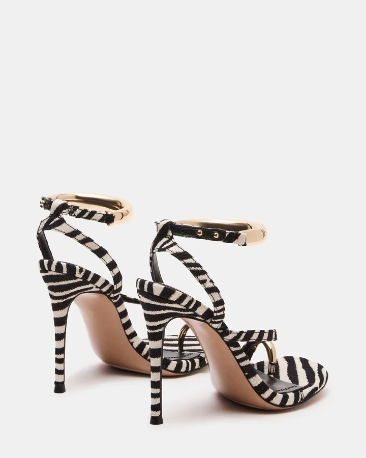 Tia Zebra - Image 6