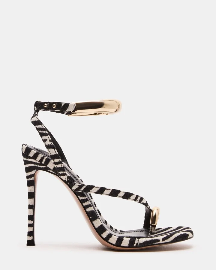Tia Zebra