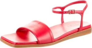 Tibi - Image 2