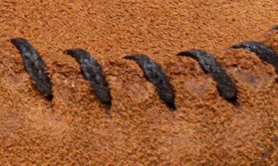 Tie Slipper - Image 11