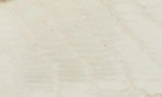 Toby Sandal - Image 6