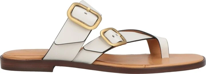 Tod's Woman Thong sandal - Image 3