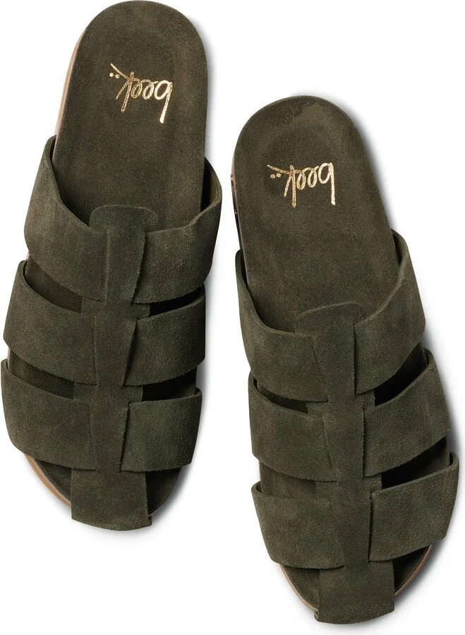 Tody Mule - Image 2