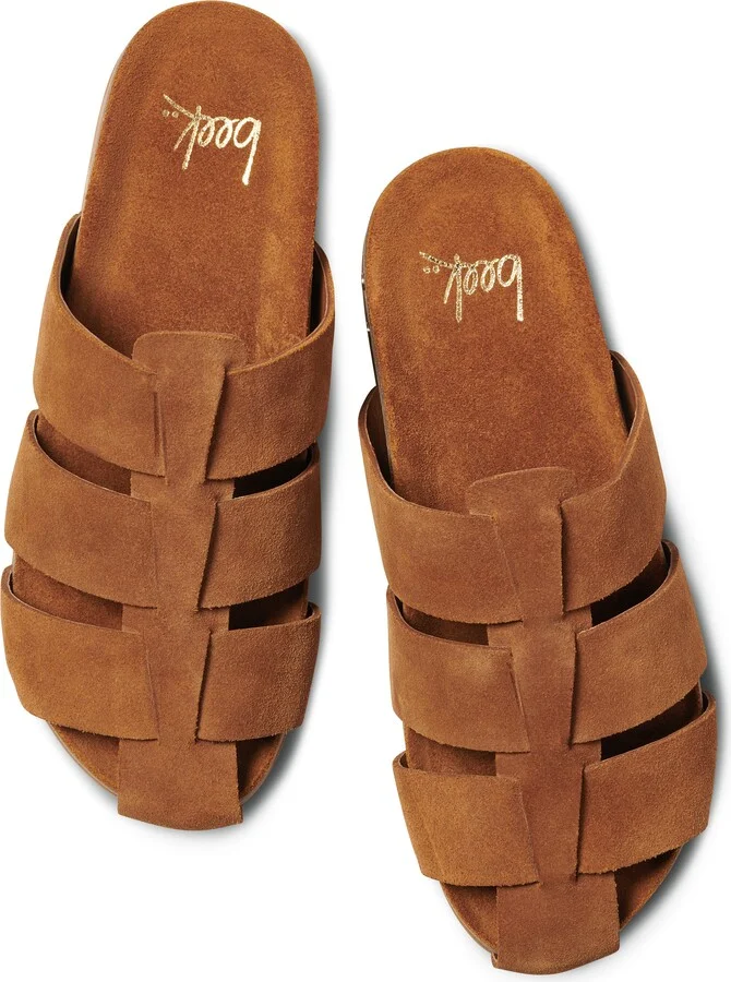 Tody Mule - Image 5