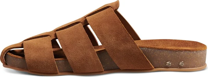 Tody Mule - Image 6