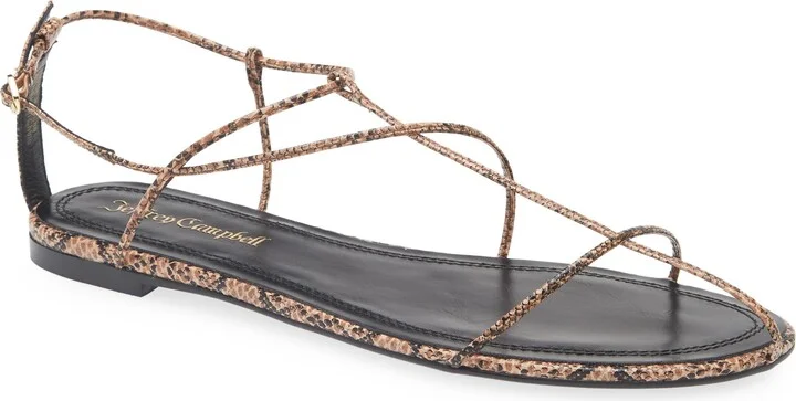 Beige Black Snake