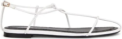 Trawl Flat