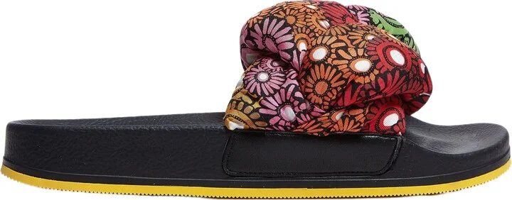 Pride Daisy Multicolor