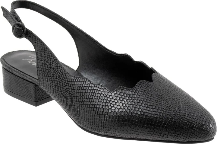 Black Snake