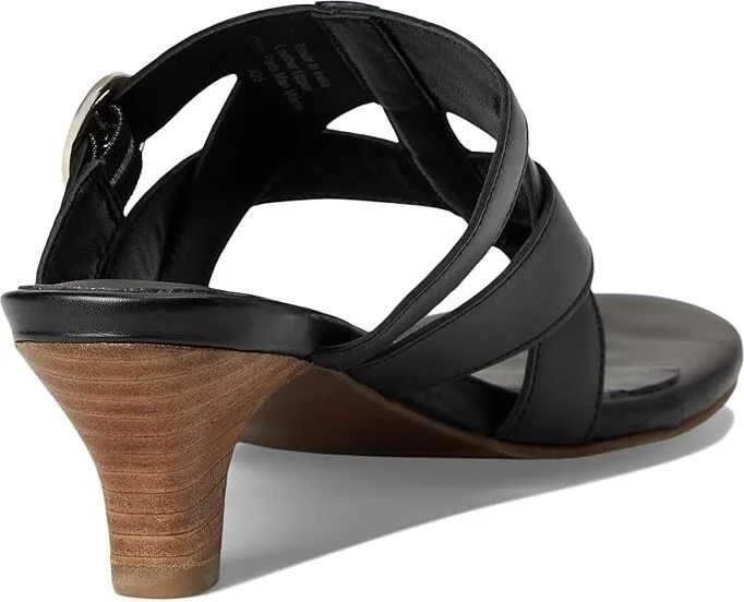 Trotters Nikki Women's Sandals Black : 6 M (B), Leather - Image 4