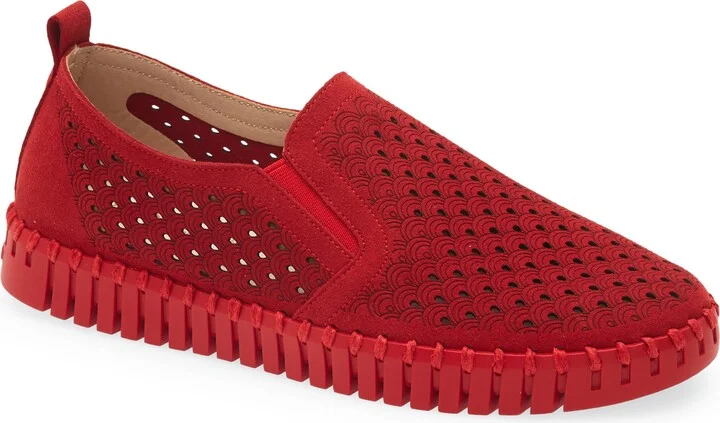 Deep Red W/ Deep Red