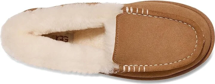 UGG Ansley Parc Women's Shoes Chestnut : 5 B - Medium, Suede - Image 2