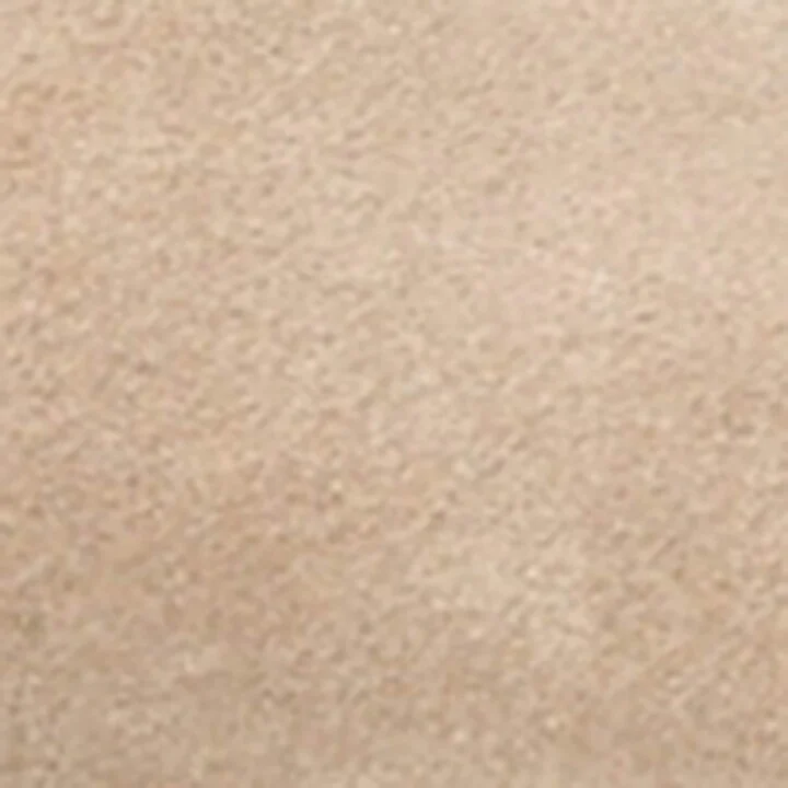 UGG Suede Goldenstar Clogs - Image 5