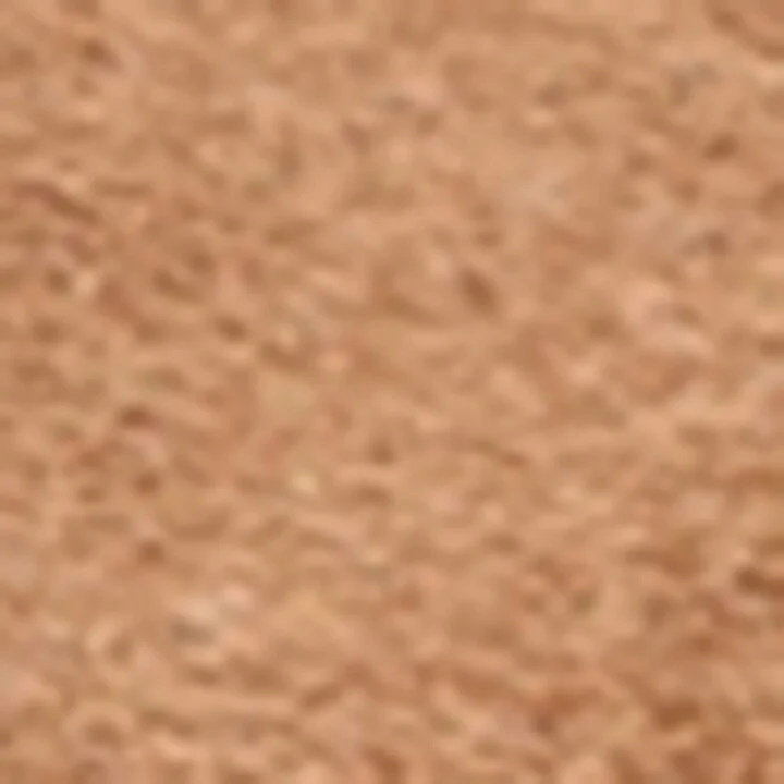 UGG Suede Goldenstar Glide Sandals - Image 5