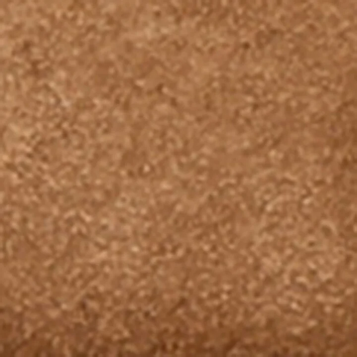 UGG Suede Goldenstar Slide Sandals - Image 5