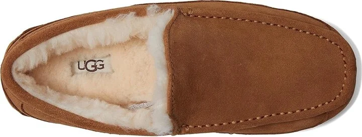 UGG Wide Ascot Men's Shoes Chestnut : 7 3E, Suede - Image 2
