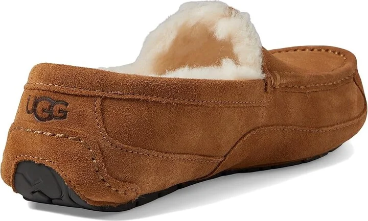 UGG Wide Ascot Men's Shoes Chestnut : 7 3E, Suede - Image 4