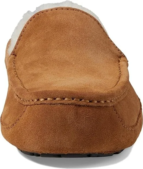 UGG Wide Ascot Men's Shoes Chestnut : 7 3E, Suede - Image 5
