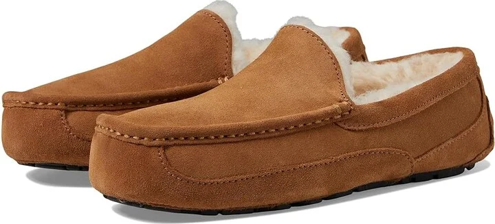Chestnut