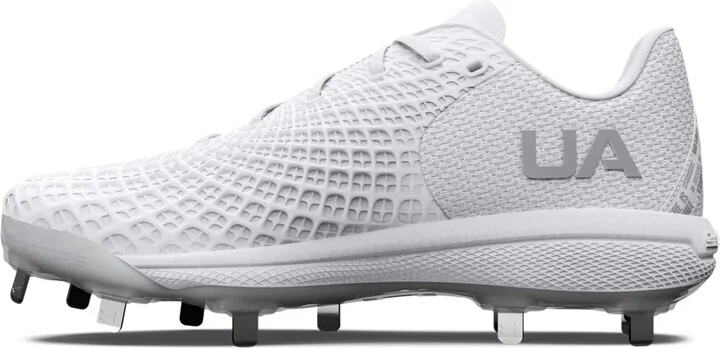 (100) White/White/Metallic Silver
