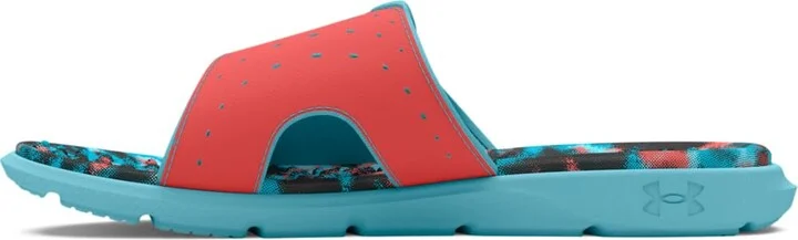 (402) Sky Blue/Coho/Sky Blue