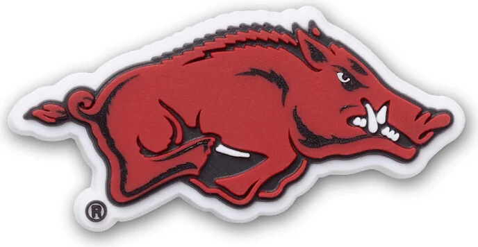 University of Arkansas