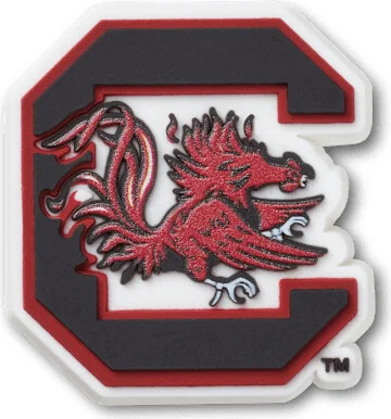 University of South Carolina